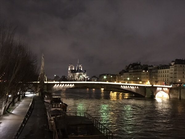 美しいパリのノートルダム大聖堂の夜景